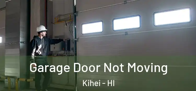  Garage Door Not Moving Kihei - HI