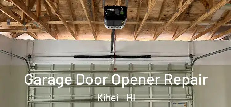  Garage Door Opener Repair Kihei - HI