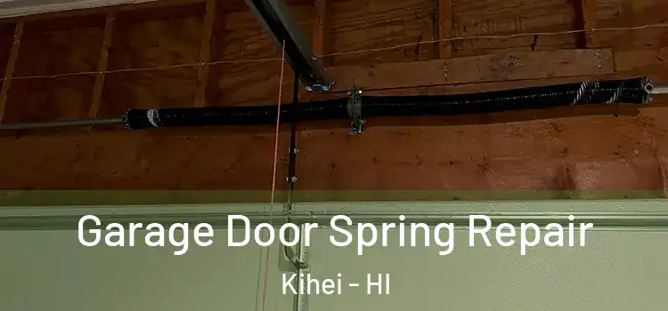  Garage Door Spring Repair Kihei - HI