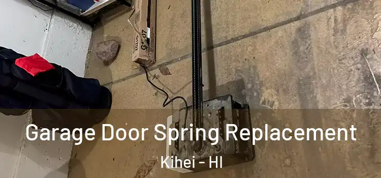  Garage Door Spring Replacement Kihei - HI
