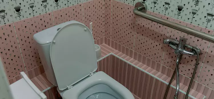 Meeting Diverse Needs With Accessible Restroom Solutions in Kihei, HI
